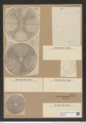 Actinoptychus undulatus (Bail.?) Ralfs. (de-Toni-Nr.: Genus 227, Species 5519) Zeichnungen Sammlung Grunow Nr. 9554 (NHMW-BOT-W0379355)